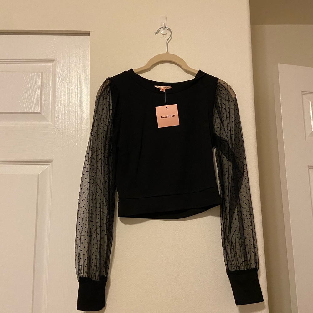 sweater with sheer sleeves